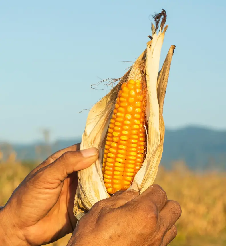 Captura de pantalla 2026-03-19 a la(s) 10.21.05 p.m..webp