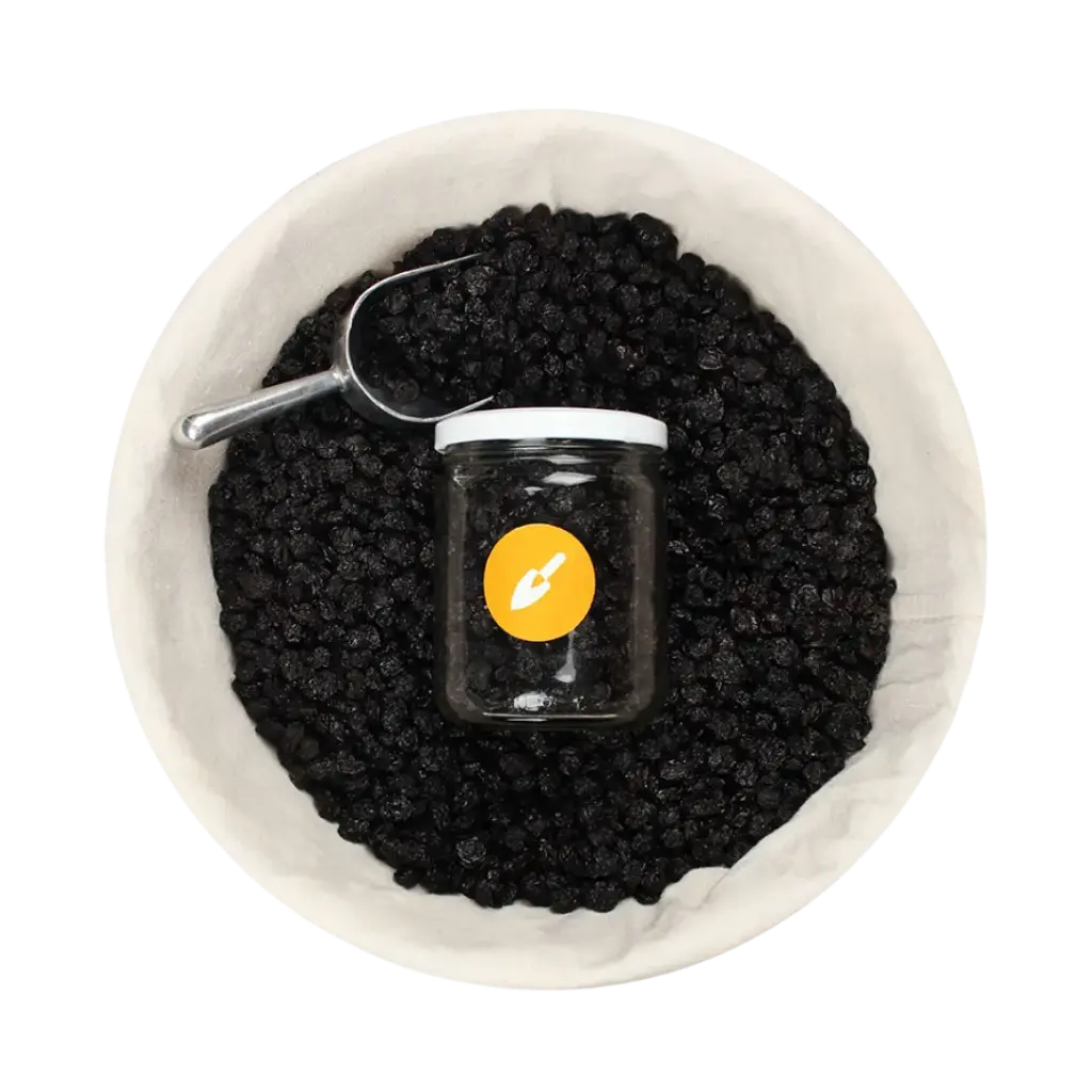 [21681094] Uva Pasa Natural (100gr)