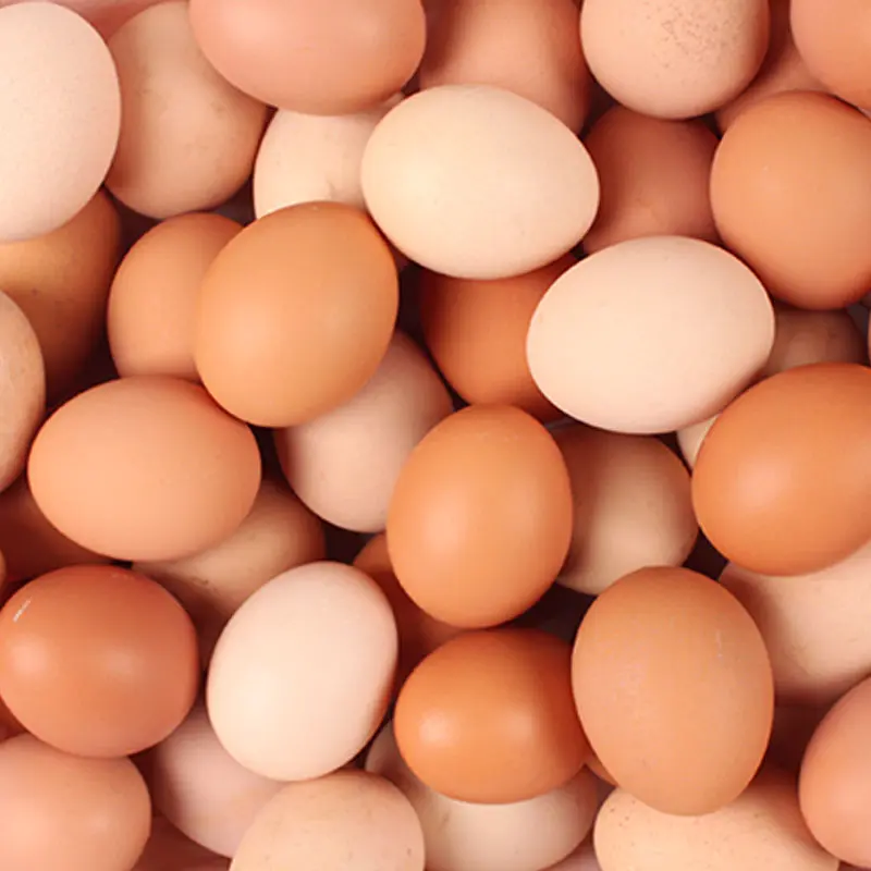 Huevo Libre Pastoreo