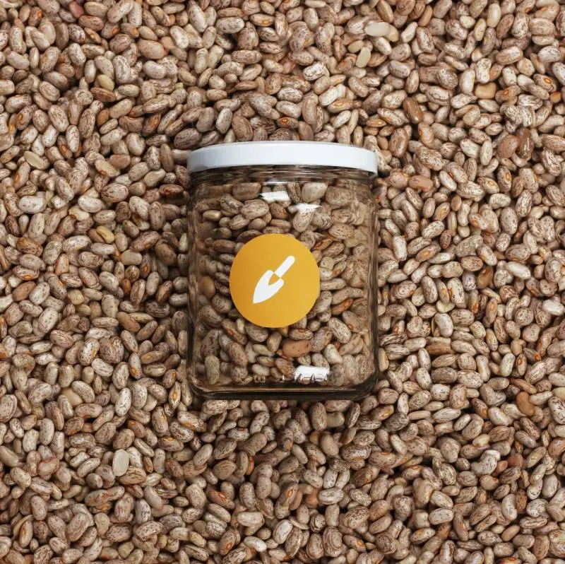 Frijol Pinto Nacional