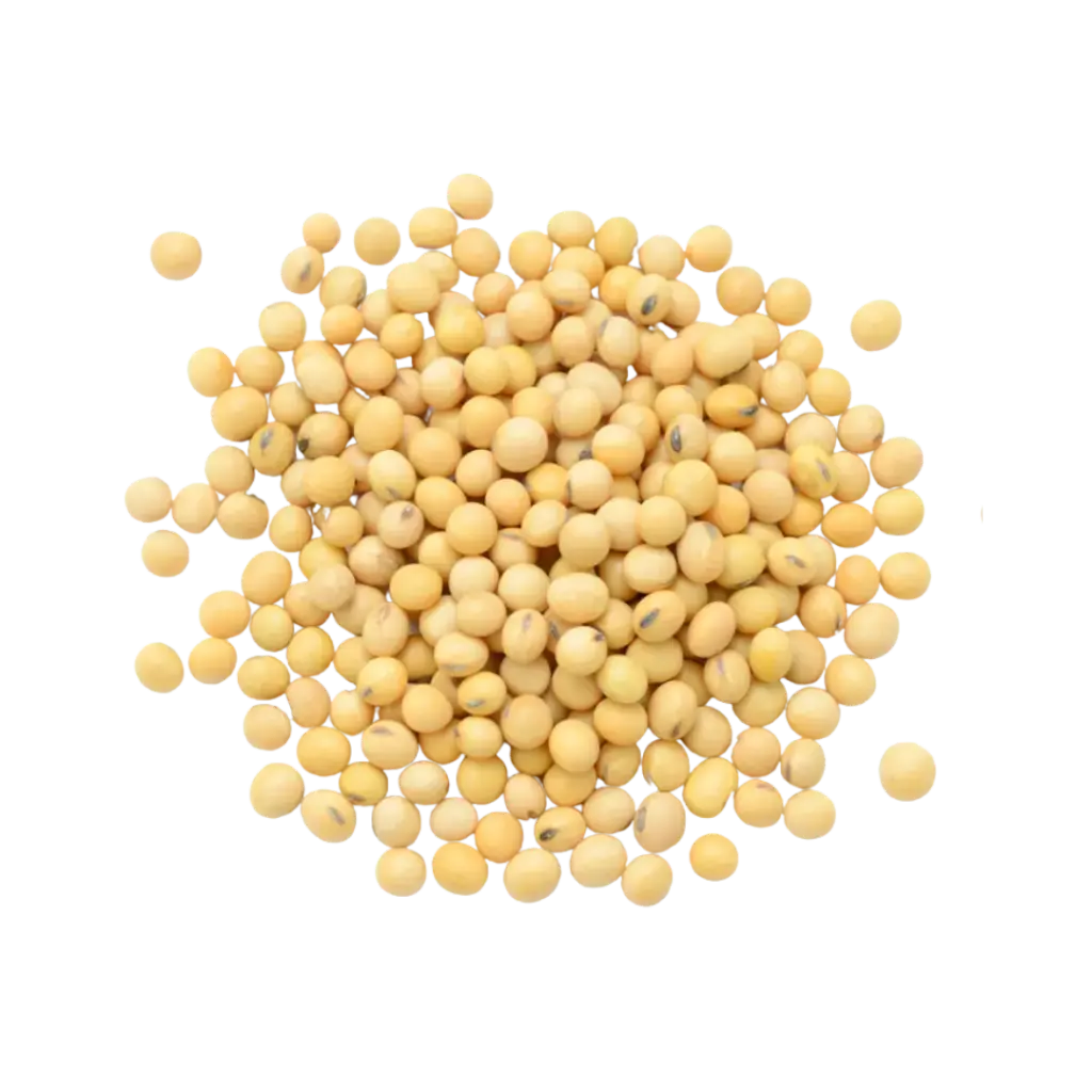 Frijol de Soya
