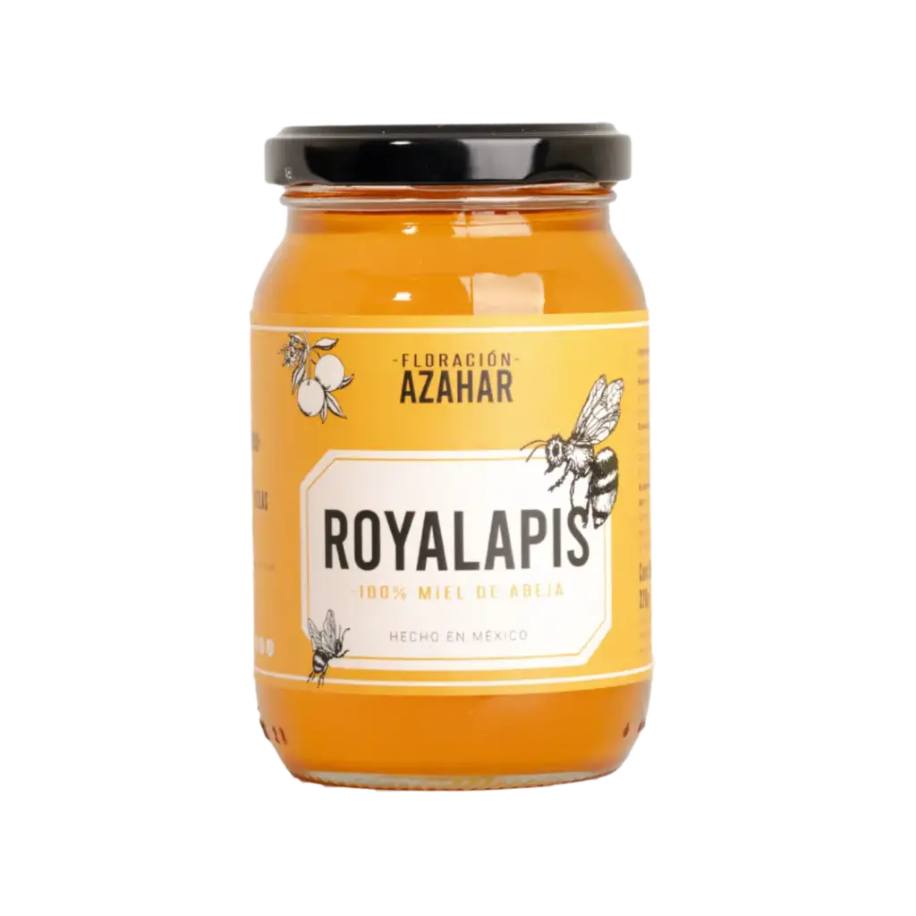Miel de Abeja 320gr - Montemorelos, NL