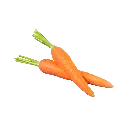 Zanahoria Sin Hoja (1 kilo)