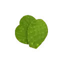 Nopal Limpio (500 gr)