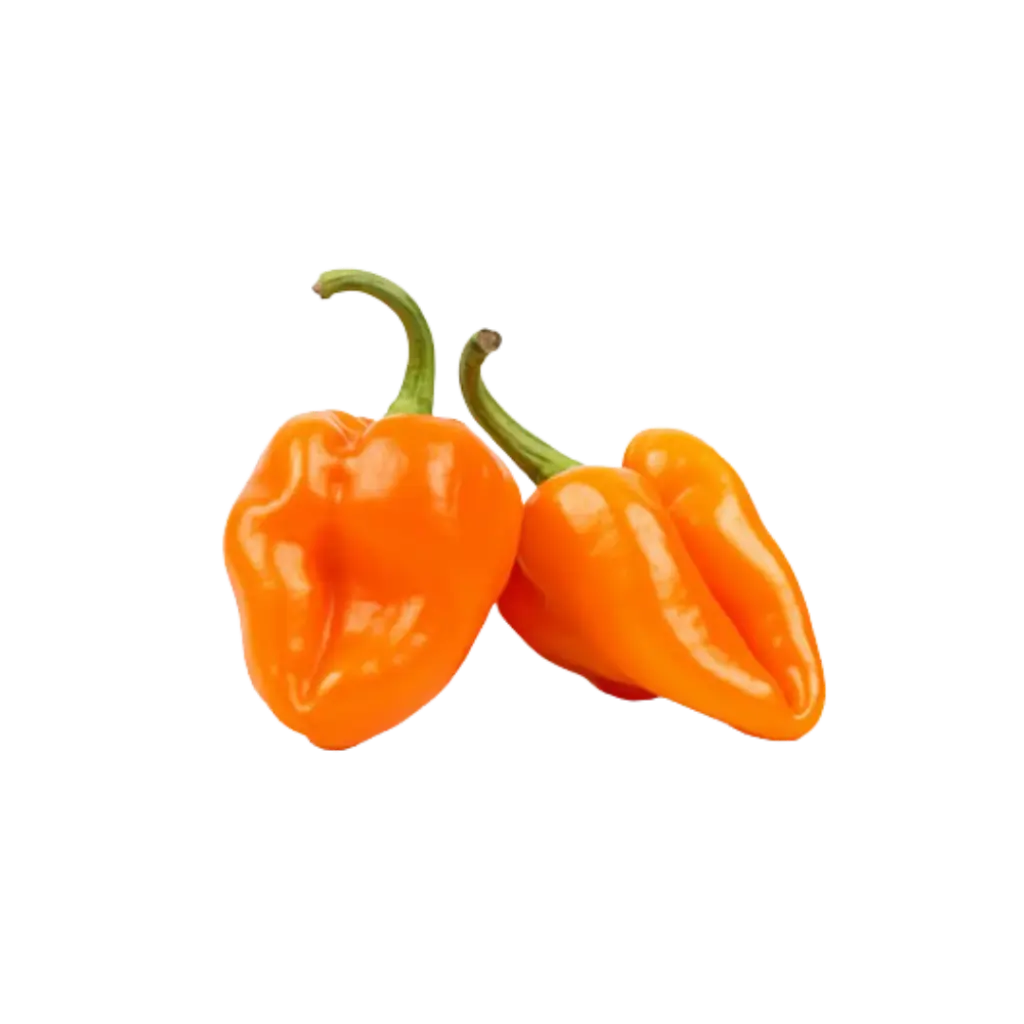 Chile Habanero (500gr)