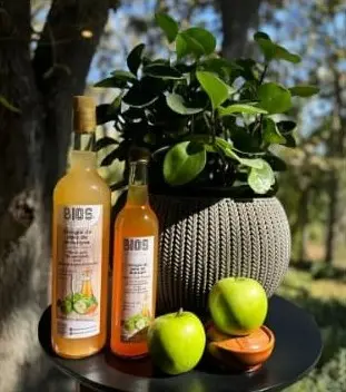 Vinagre Sidra Manzana con Madre 1Lt 