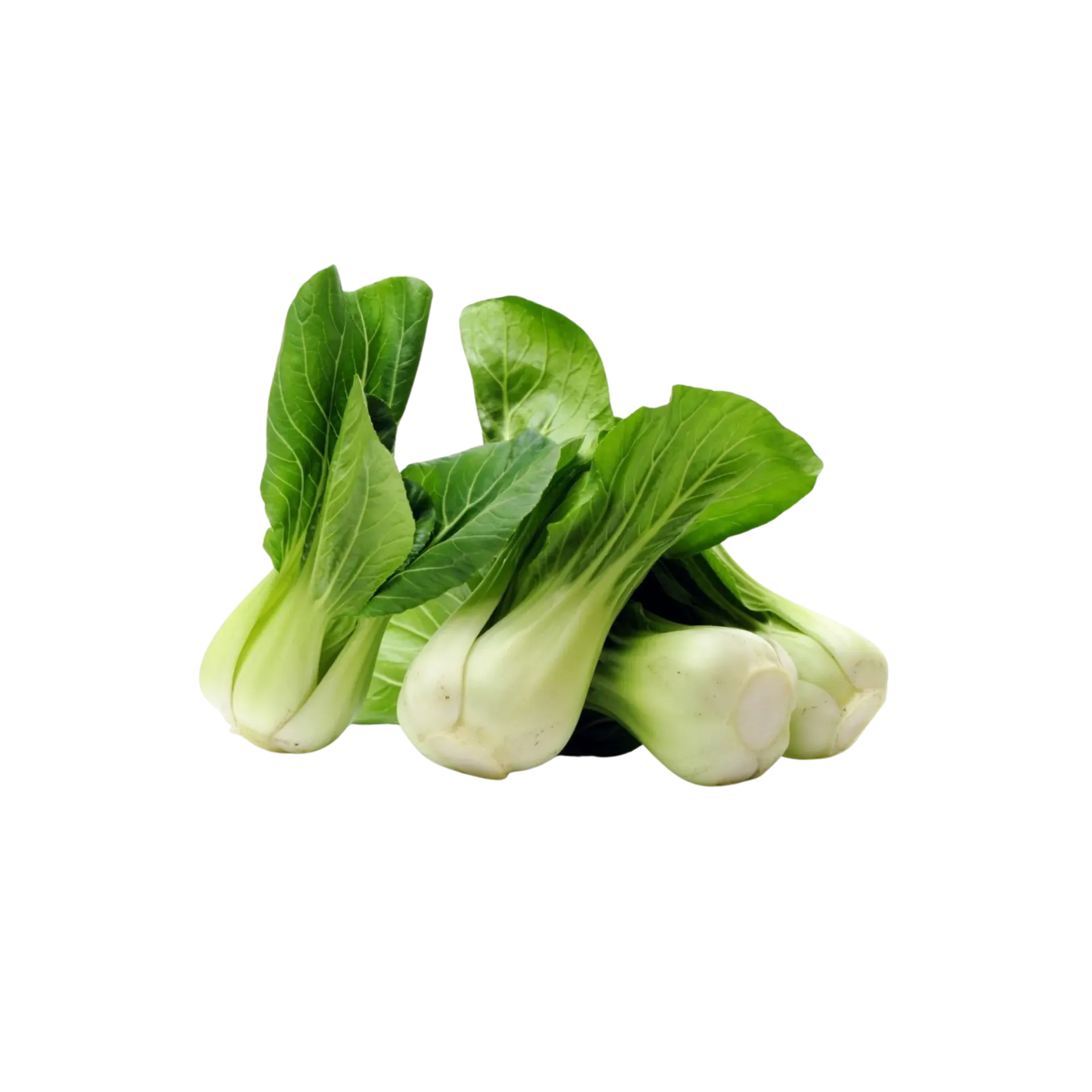 Pak Choi / Pza