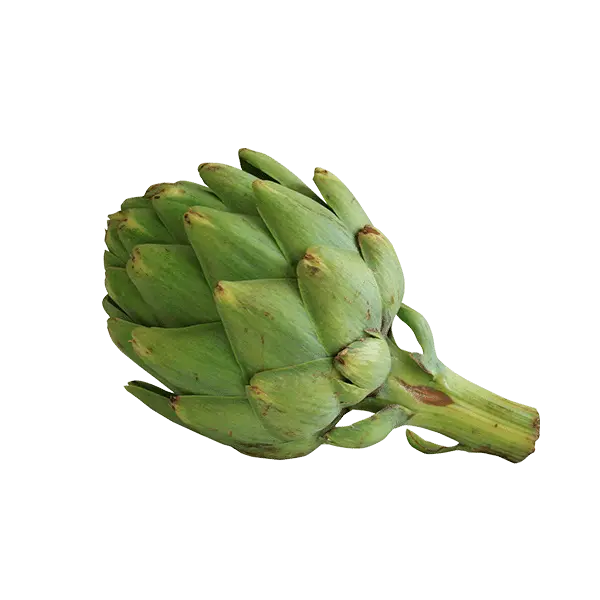 Alcachofa Pieza Mediana