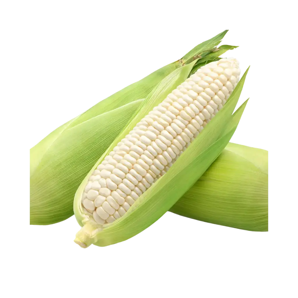 Elote / Pz