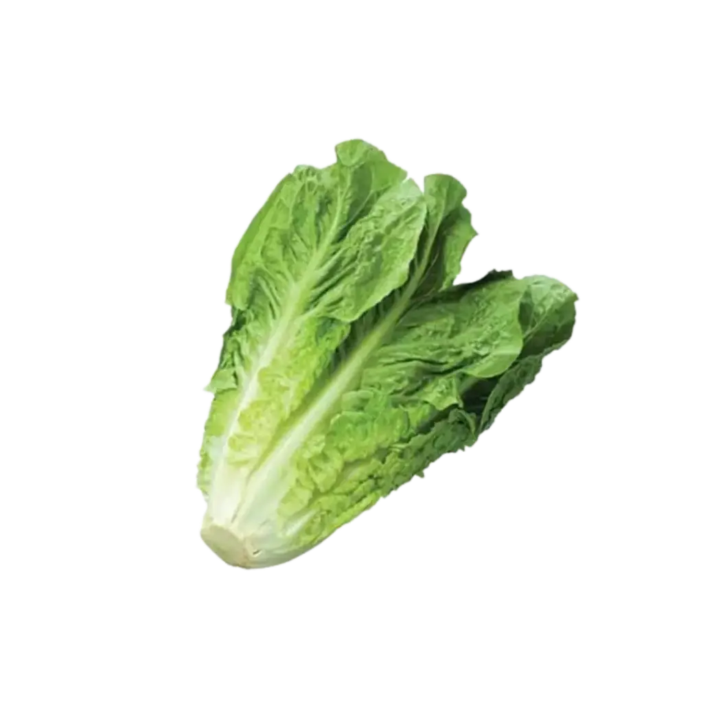 [2168493] Lechuga Orejona / Pz