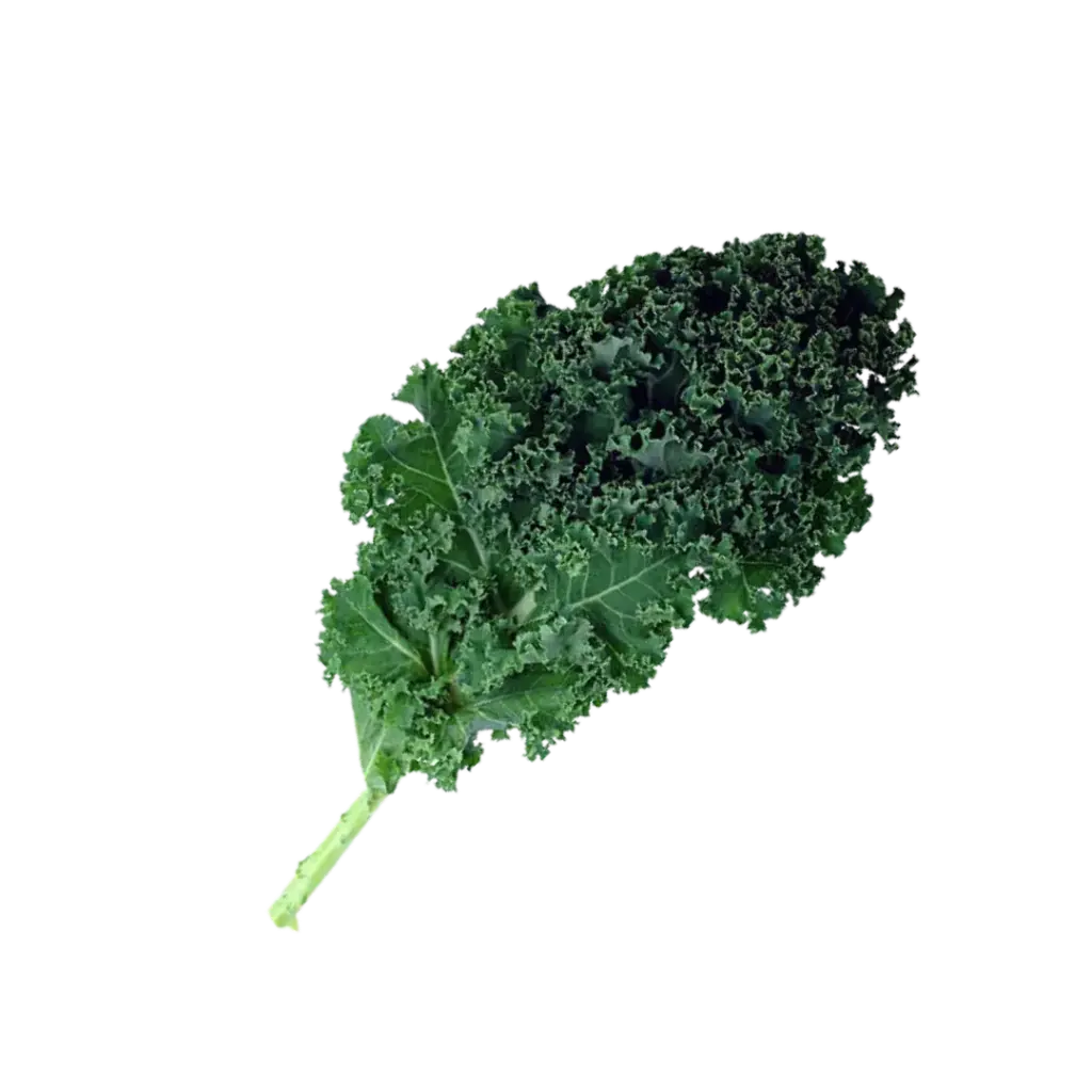 Kale (Col rizada) / mjo