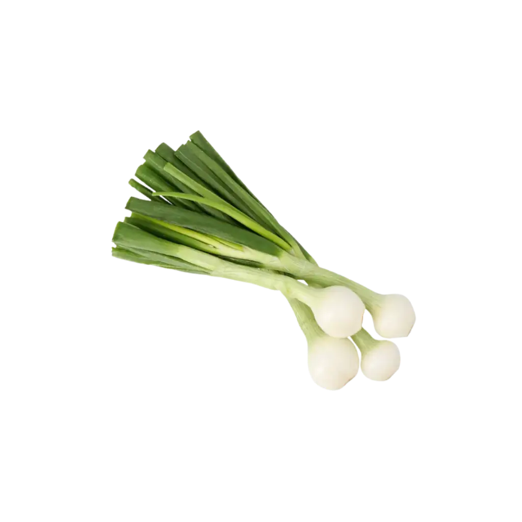 Cebolla de Rabo / Mjo