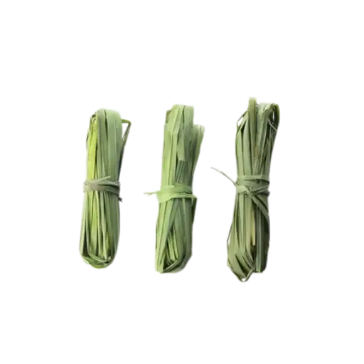 [2168529] Zacate Limón / Mjo