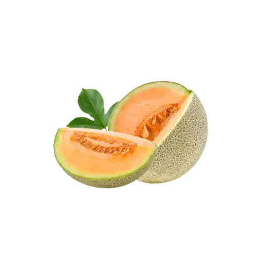 [2168536] Melon / Pz