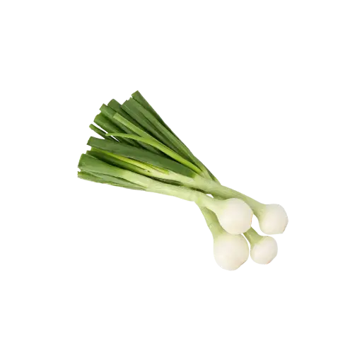 [2168550] Cebolla de Rabo / Mjo