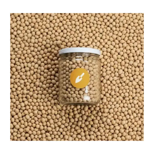 Frijol de Soya