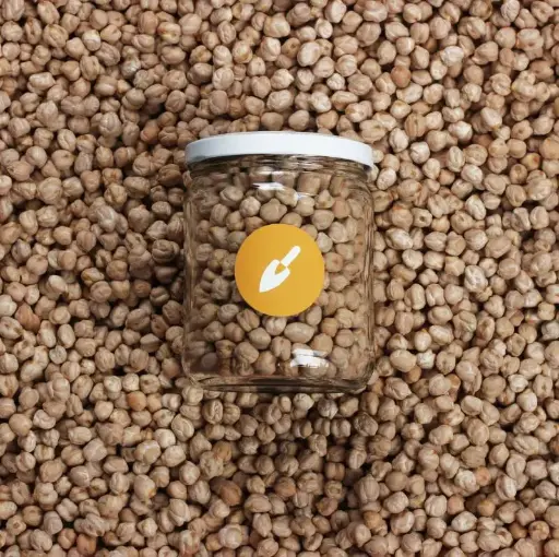 Garbanzo