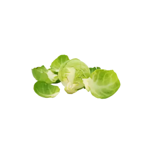 [21689100] Col de Bruselas