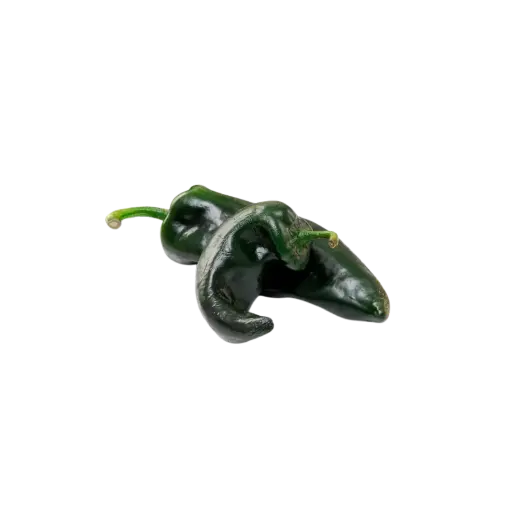 Chile Poblano
