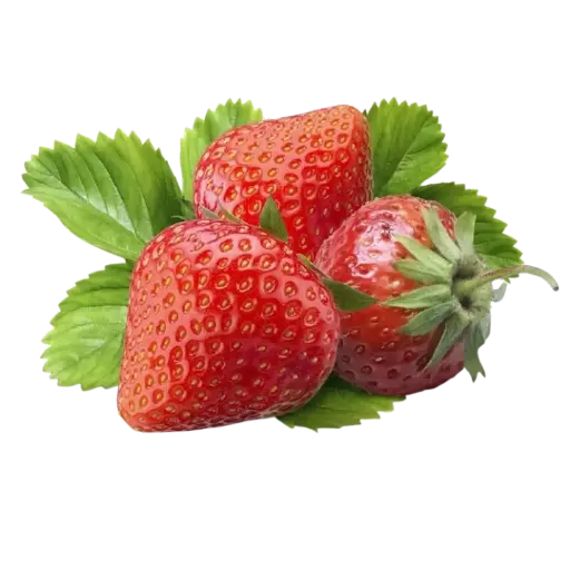 [2169573] Fresa Agroecológica Paq 450gr